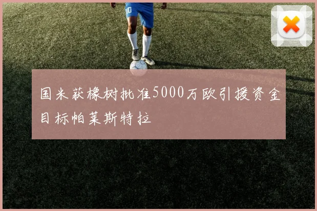 国米获橡树批准5000万欧引援资金目标帕莱斯特拉