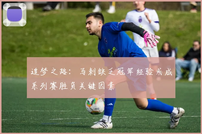 追梦之路：马刺缺乏冠军经验或成系列赛胜负关键因素